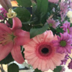 Meet your Posher, Dax